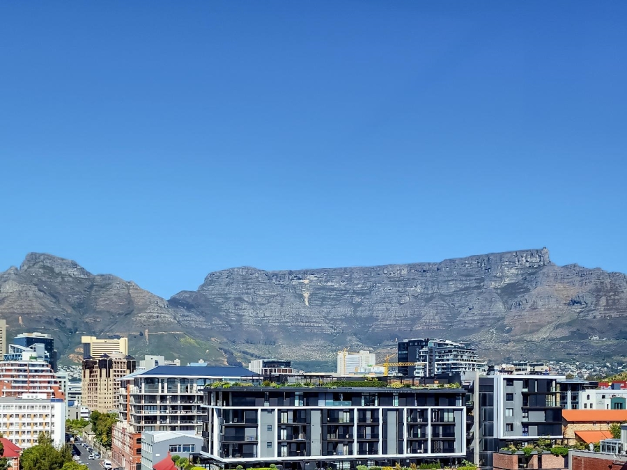 1 Bedroom Property for Sale in De Waterkant Western Cape